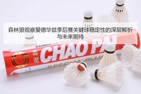 森林狼观察爱德华兹季后赛关键球稳定性的深层解析与未来期待（kaiyun）
