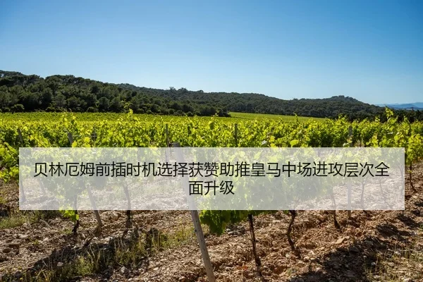 贝林厄姆前插时机选择获赞助推皇马中场进攻层次全面升级（kaiyun）